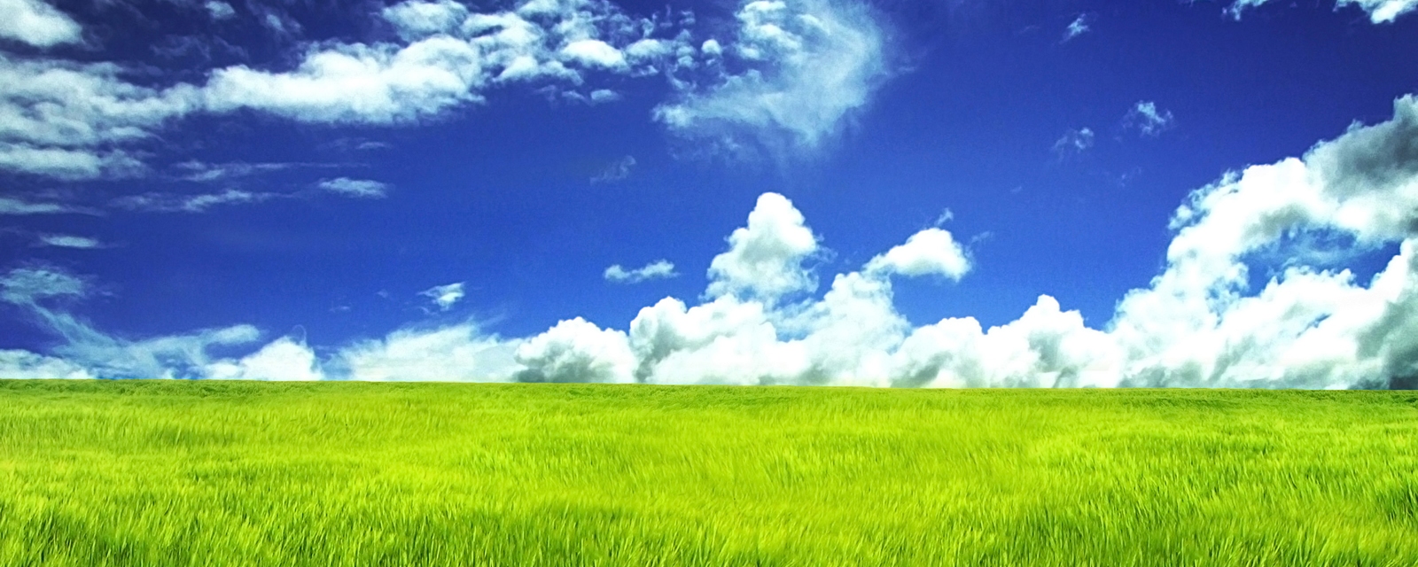 Slide background
